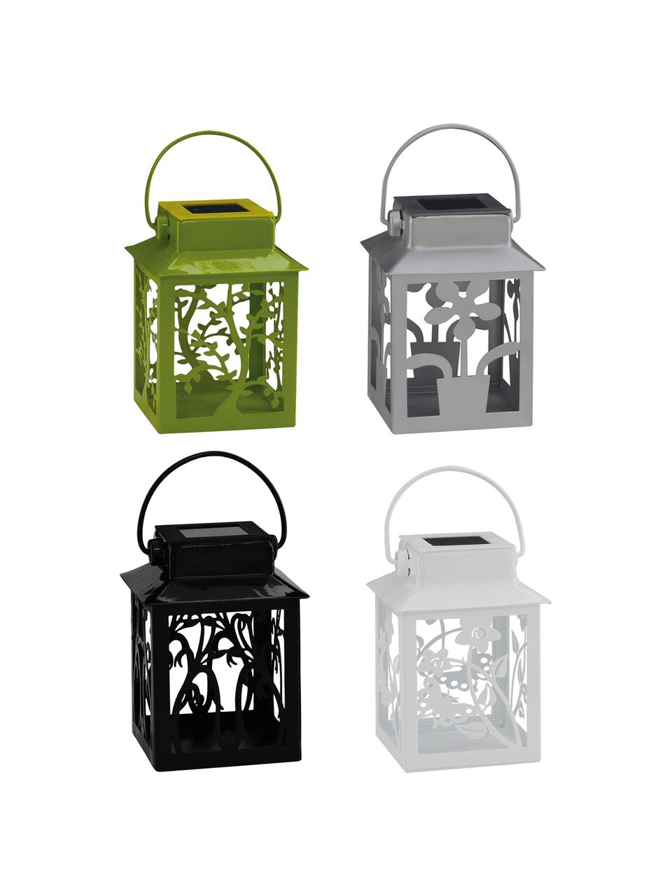 Set 4 lanterne solari da esterno Garden-Lantern, Lanterne: metallo rivestito, Multicolore, Larg. 8 x Alt. 13 cm
