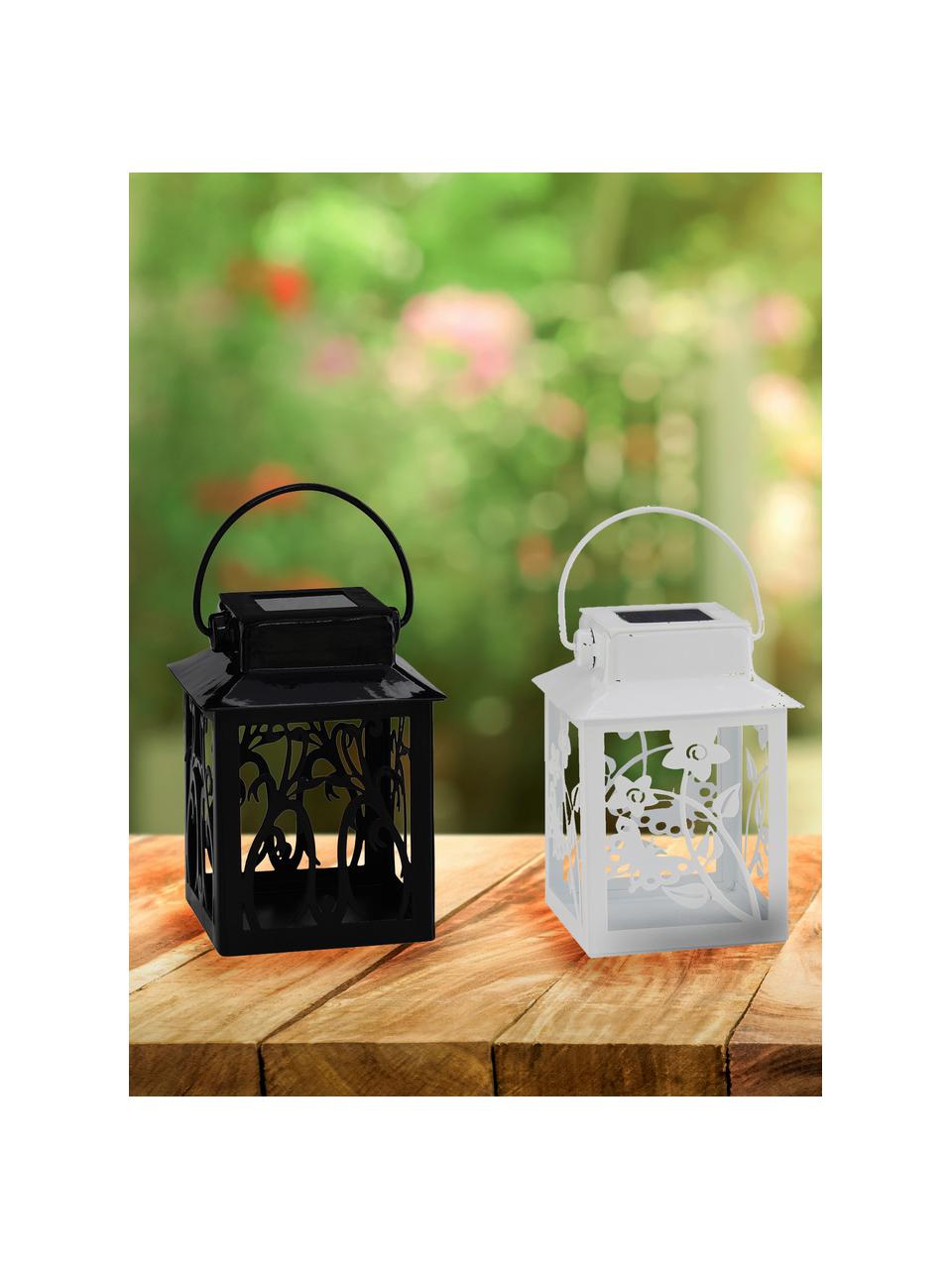 Solar outdoor lampenset Garden-Lantern, 4-delig, Frame: gecoat metaal, Multicolour, L 8 x H 13 cm