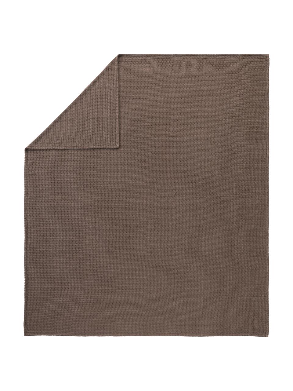 Copriletto a nido d'ape Adair, 100% cotone, Marrone, Larg. 180 x Lung. 250 cm
