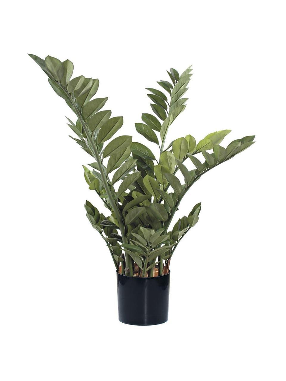 Planta artificial Smarag, Poliéster, Látex, Polipropileno, Alambre de metal, Verde, Ø 45 x Al 110 cm