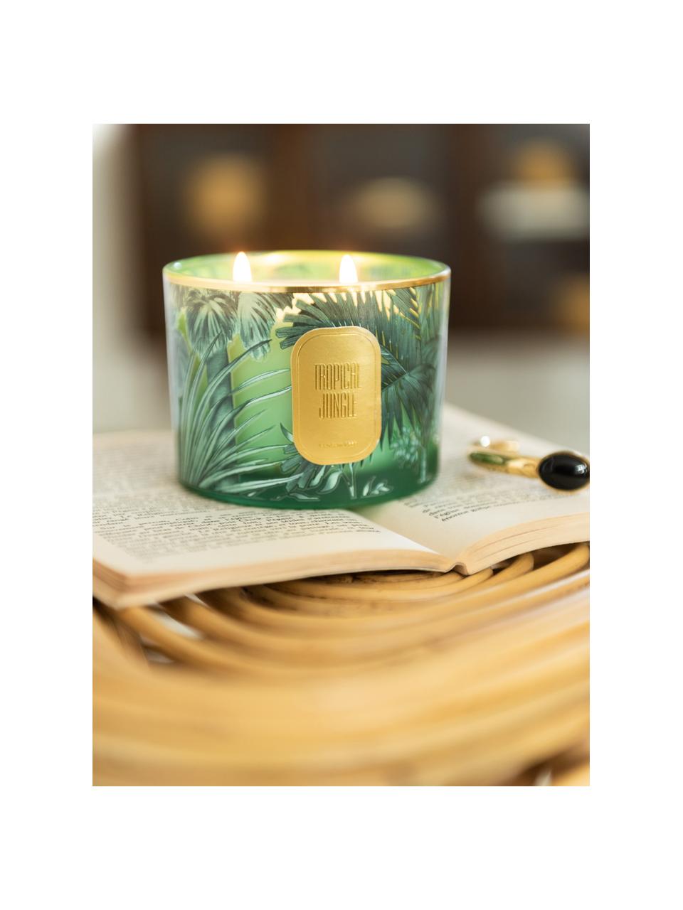 Vonná svíčka se dvěma knoty Tropical Jungle, Zelená, zlatá, Ø 11 cm, V 8 cm