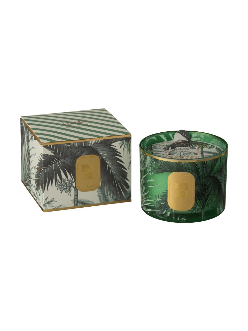 Dvojknôtová vonná sviečka Tropical Jungle, Zelená, odtiene zlatej, Ø 11 x V 8 cm