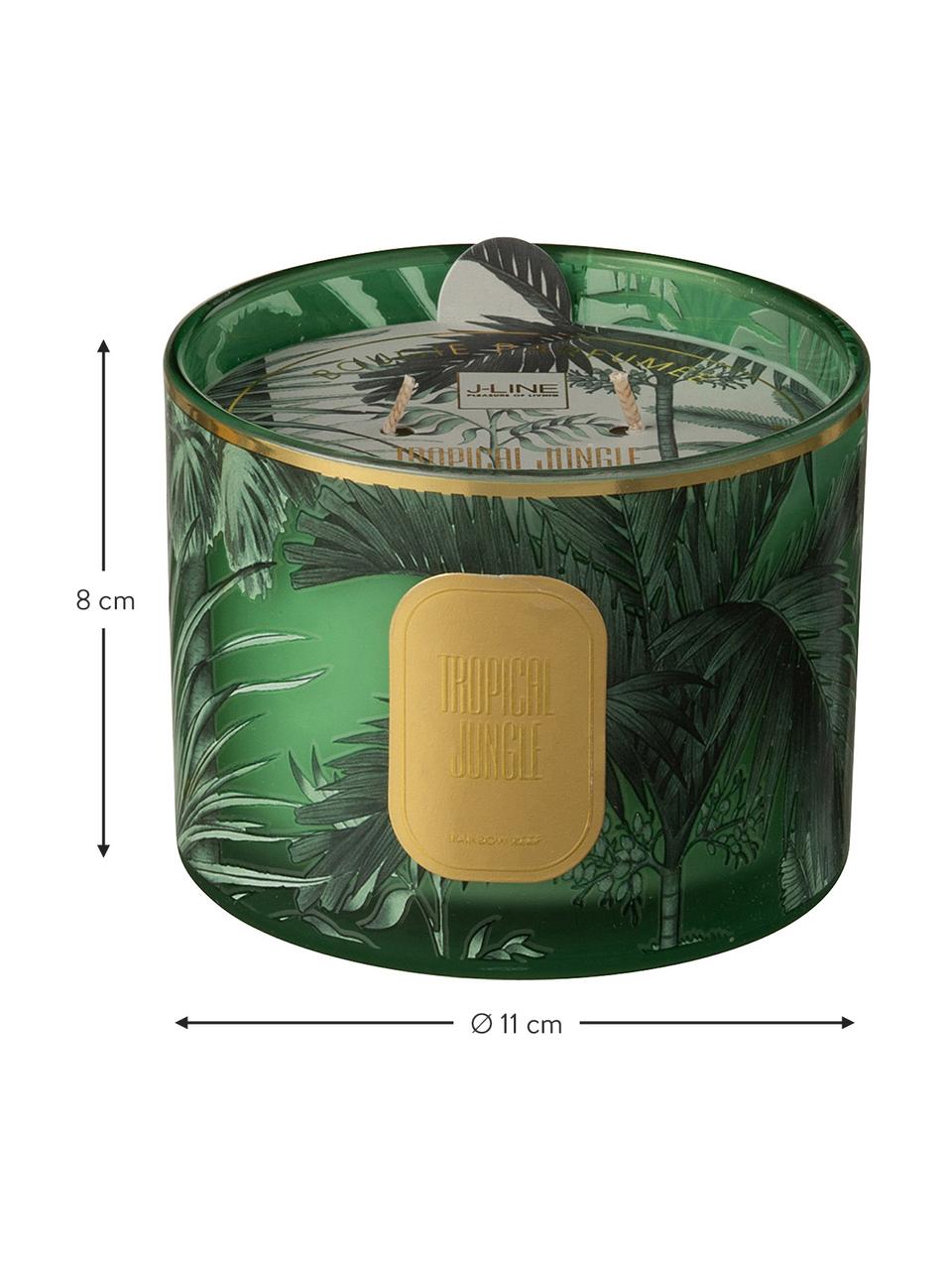 2-lonts geurkaars Tropical Jungle, Houder: glas, Groen, goudkleurig, Ø 11 x H 8 cm