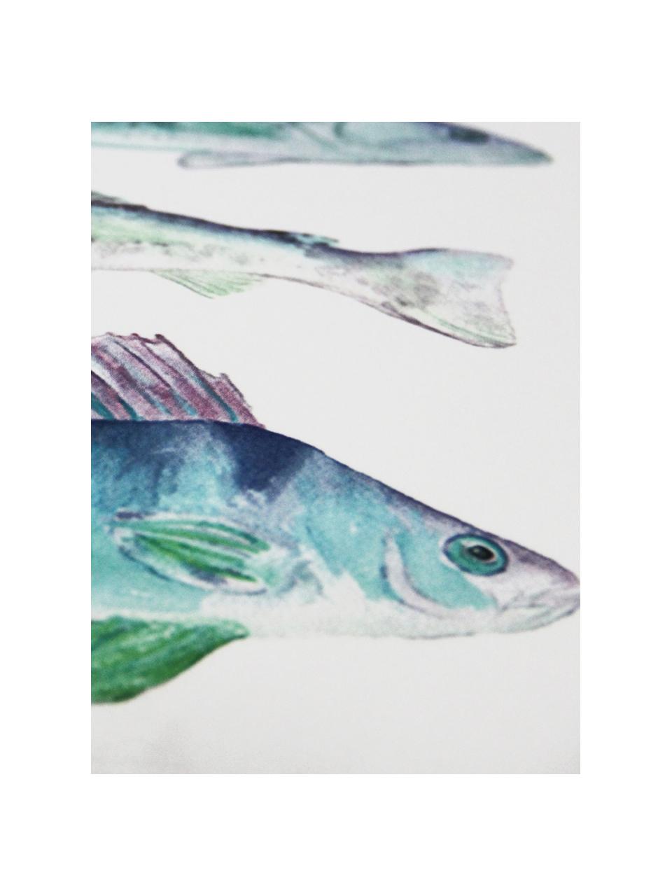 Funda de cojín Fish, 100% poliéster, Blanco, tonos de azul, verde, lila, An 45 x L 45 cm