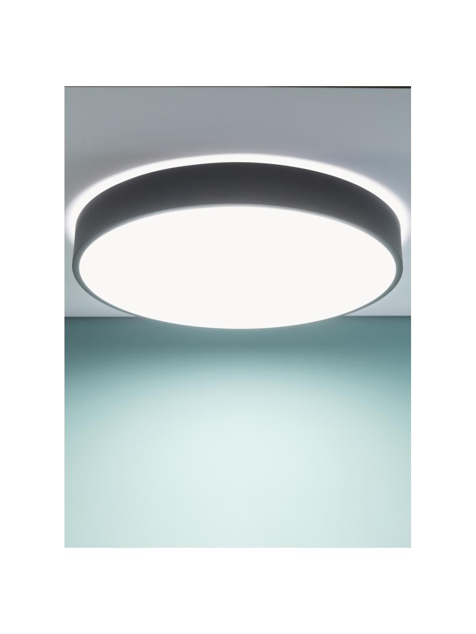 Stropná LED lampa s difúznym diskom Slimline, Čierna, biela, Ø 49 x V 9 cm