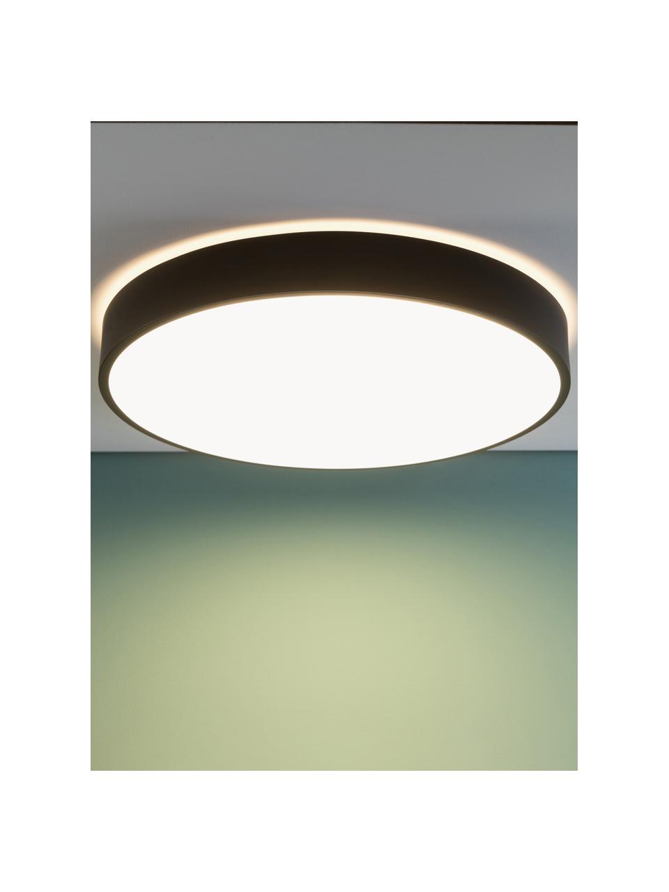 Plafonnier LED avec disque tamiseur Slimline, Noir, blanc, larg. 49 x haut. 9 cm
