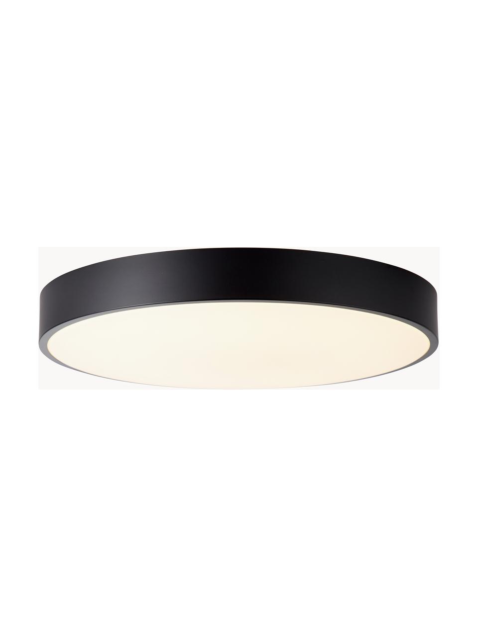 Plafoniera a LED con disco diffusore Slimline, Struttura: metallo rivestito, Nero, bianco, Ø 49 x Alt. 9 cm