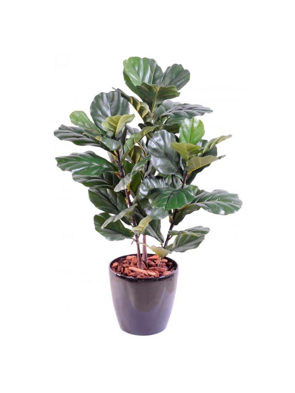 Planta artificial Ficus, Poliéster, Látex, Polipropileno, Alambre de metal, Verde, Ø 30 x Al 90 cm