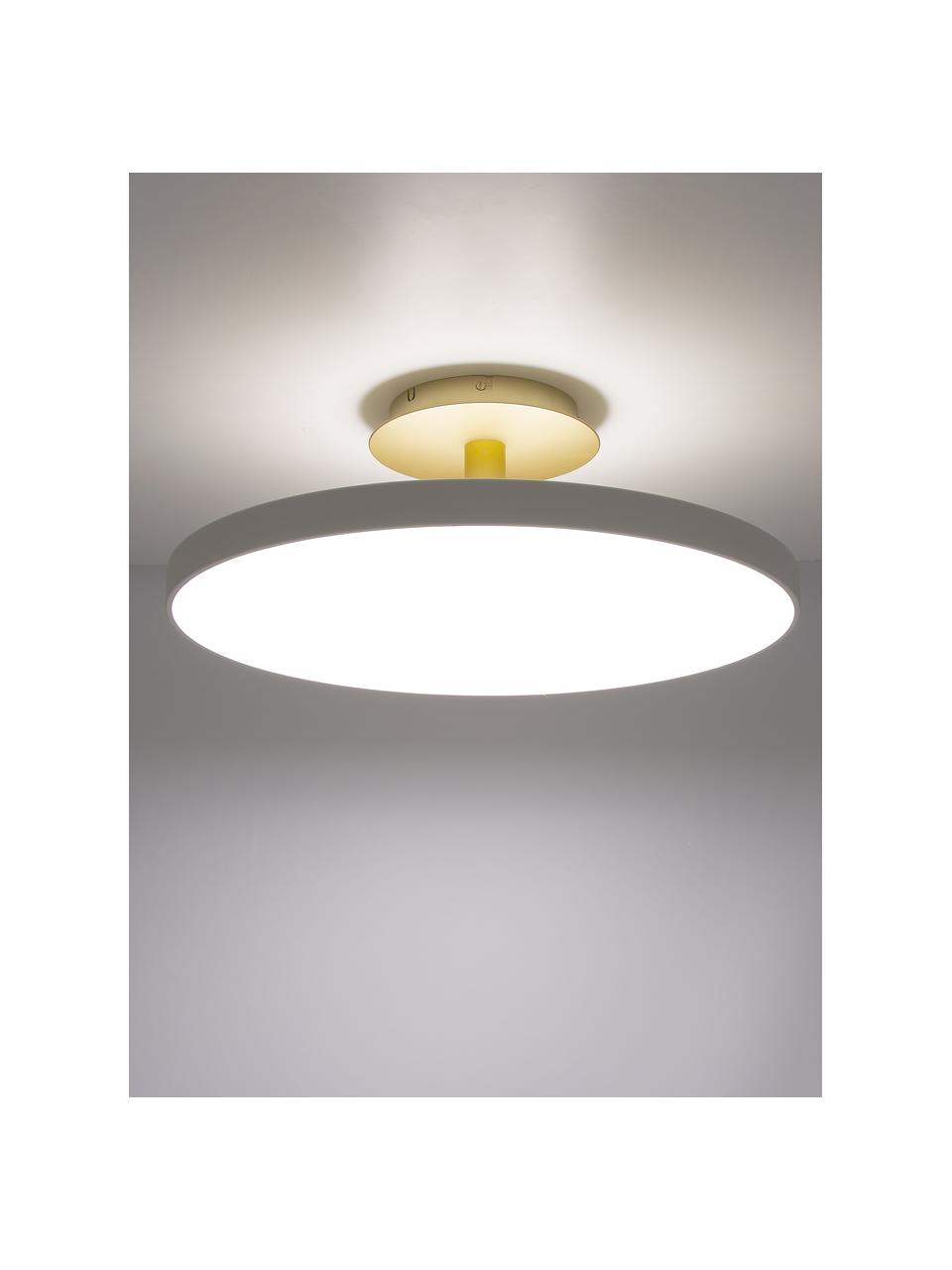 LED plafondlamp Asteria, Lampenkap: aluminium, gelakt, Crèmewit, goudkleurig, Ø 60 x H 21 cm