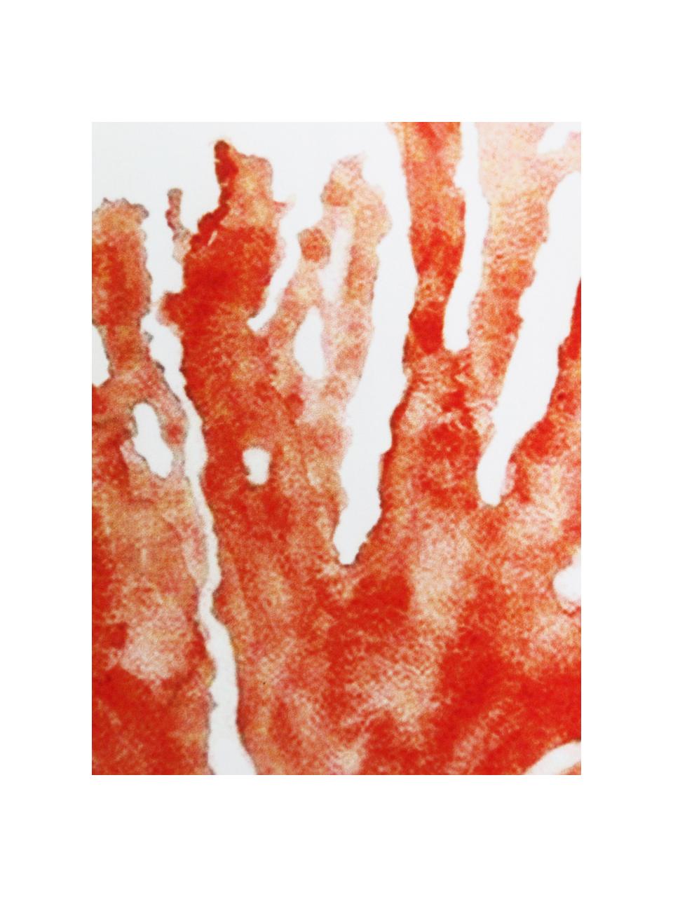 Kussenhoes Coral met koraalprint, 100% polyester, Wit, koraalkleurig, 45 x 45 cm