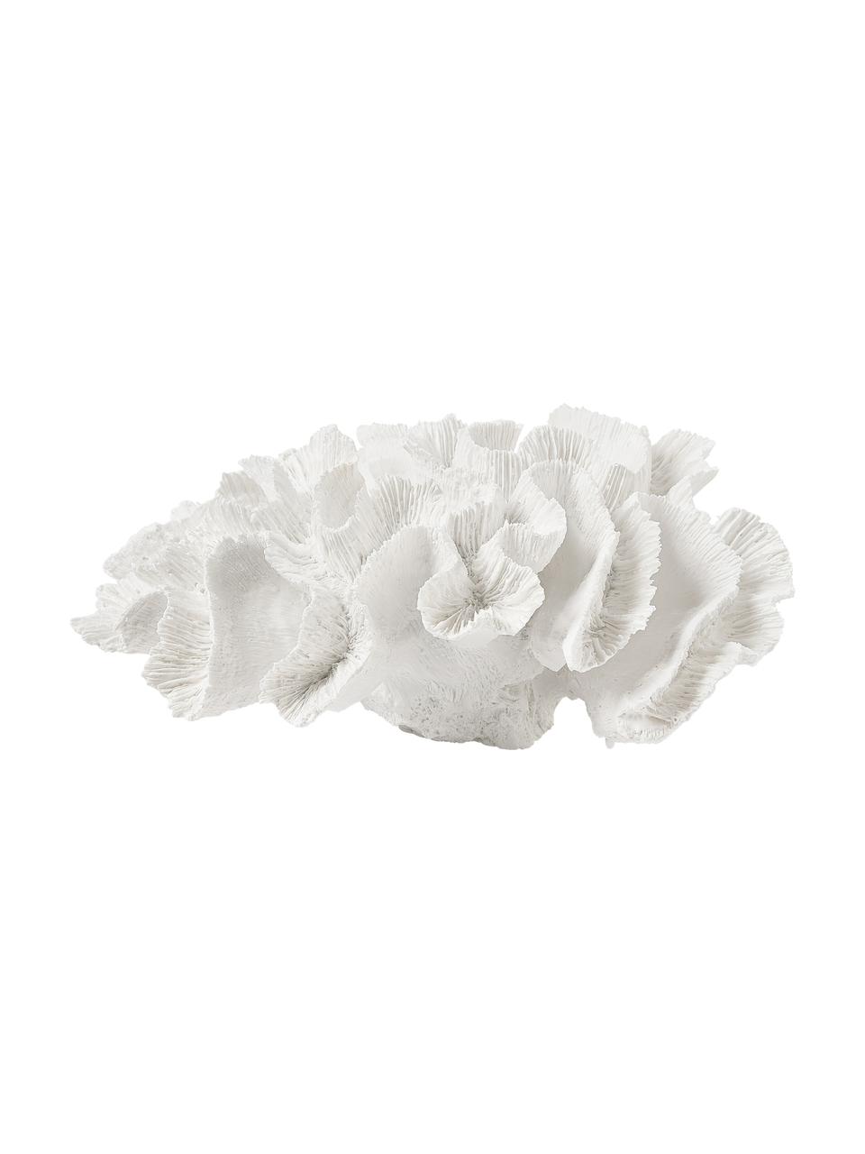 Pieza decorativa de diseño Coral, Poliresina, Blanco, An 25 x Al 10 cm