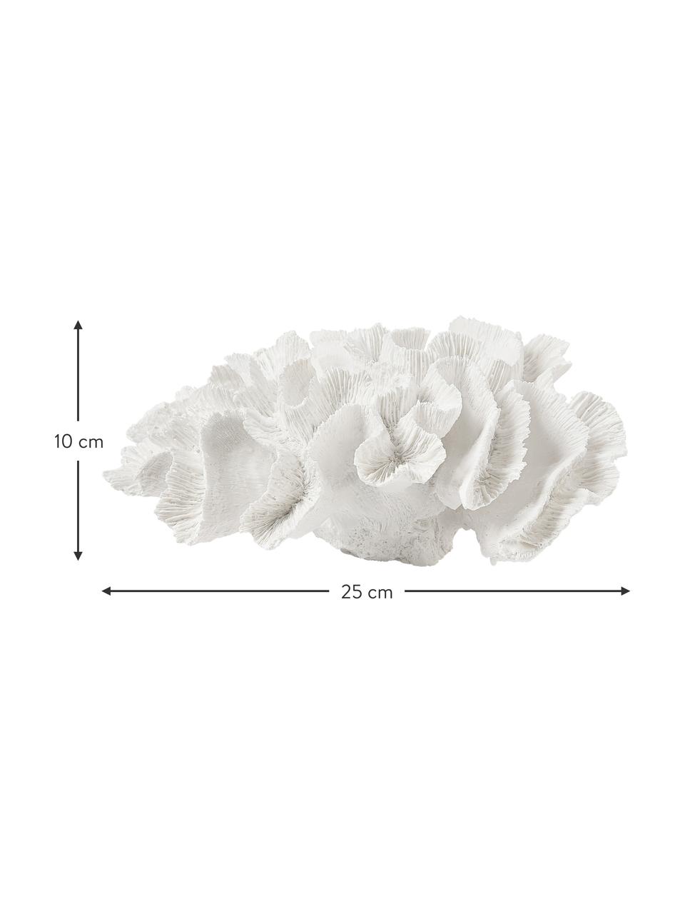 Designová dekorace Coral, Polyresin, Bílá, Š 25 cm, V 10 cm