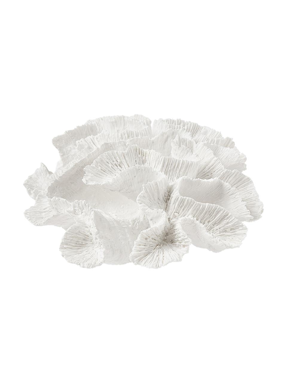 Design objet décoratif Coral, Polyrésine, Blanc, larg. 25 x haut. 10 cm