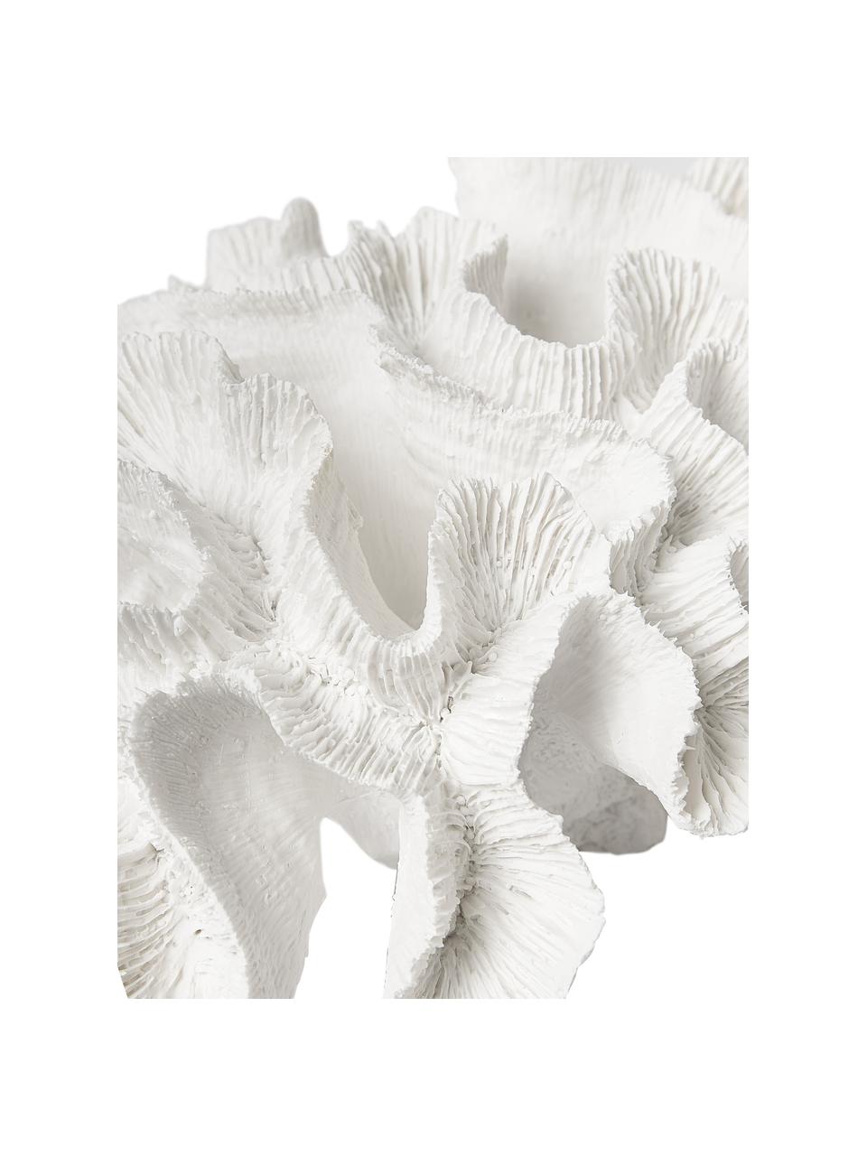Design objet décoratif Coral, Polyrésine, Blanc, larg. 25 x haut. 10 cm