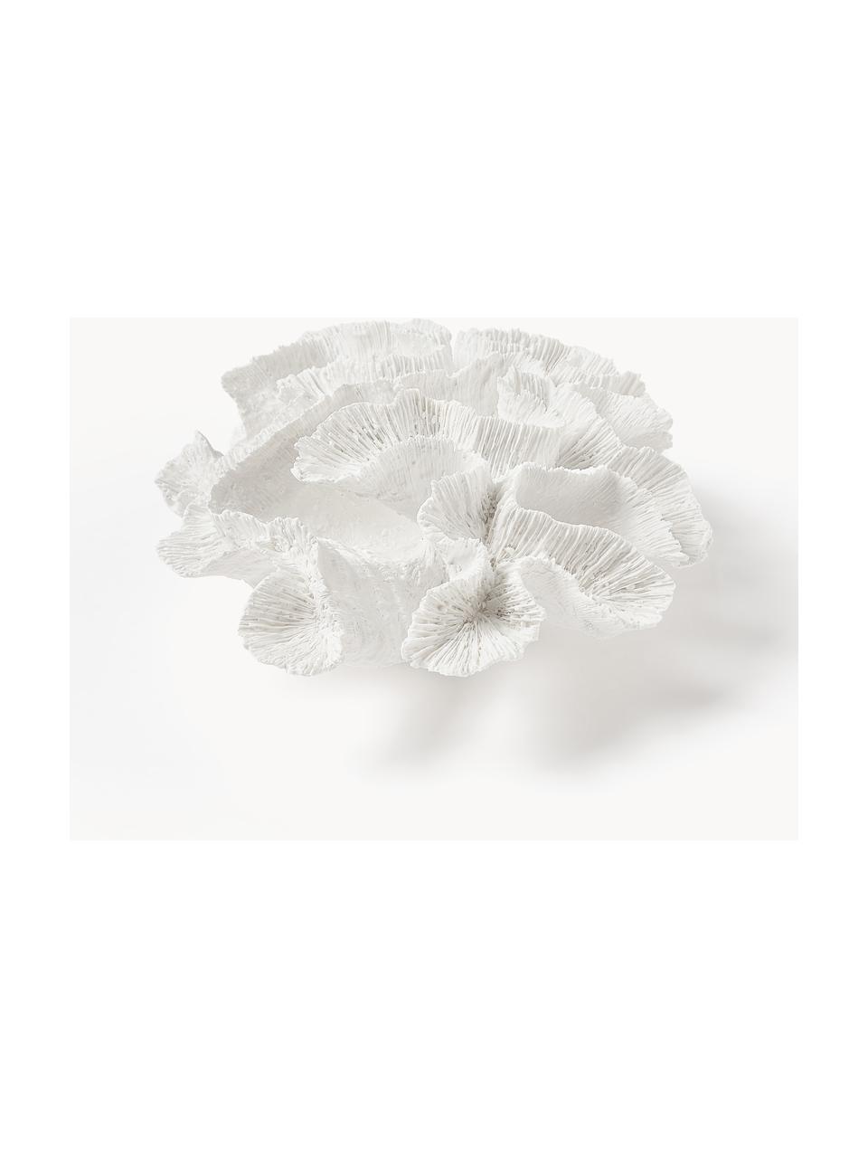 Oggetto decorativo di design Coral, Poliresina, Bianco, Larg. 25 x Alt. 10 cm