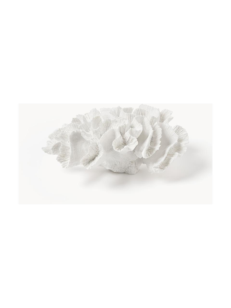 Designová dekorace Coral, Polyresin, Bílá, Š 25 cm, V 10 cm