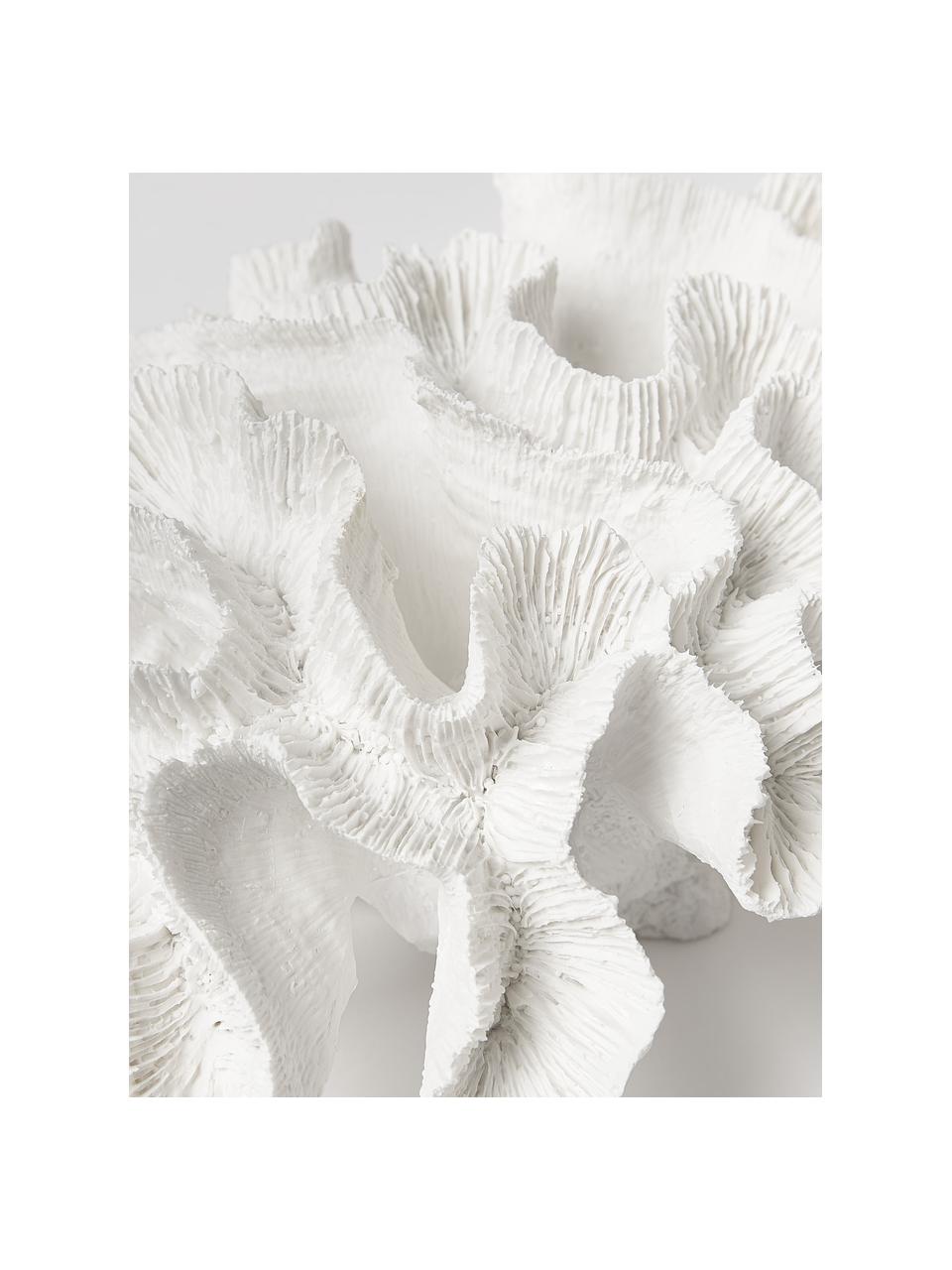 Designová dekorace Coral, Polyresin, Bílá, Š 25 cm, V 10 cm