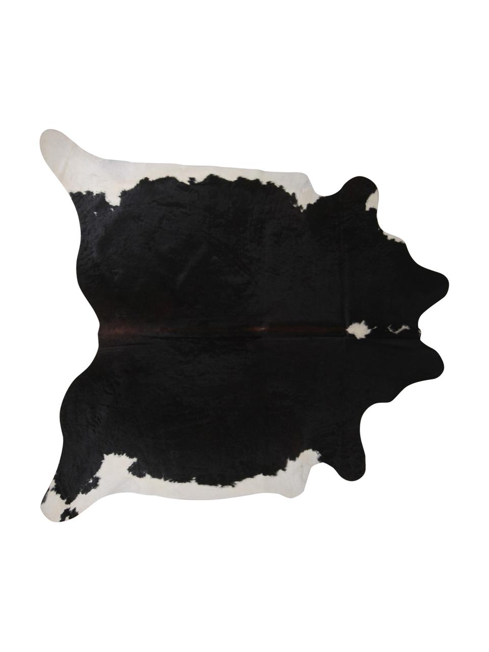 Dywan ze skóry bydlęcej Pisces, Skóra bydlęca, Czarny, biały, Unikatowa skóra bydlęca 967, 160 x 180 cm