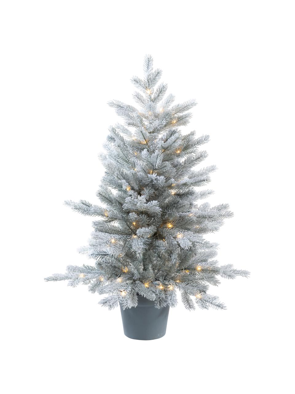kerstboom Grandis H 90 cm, besneeuwd | Westwing