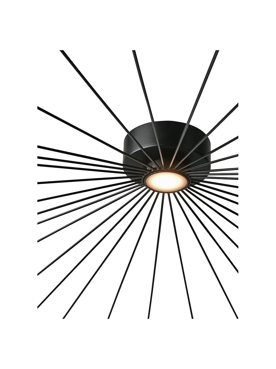 Grote dimbare LED plafondlamp Mesh, Lampenkap: gelakt metaal, Baldakijn: gelakt metaal, Diffuser: kunststof, Zwart, Ø 75 x H 5 cm