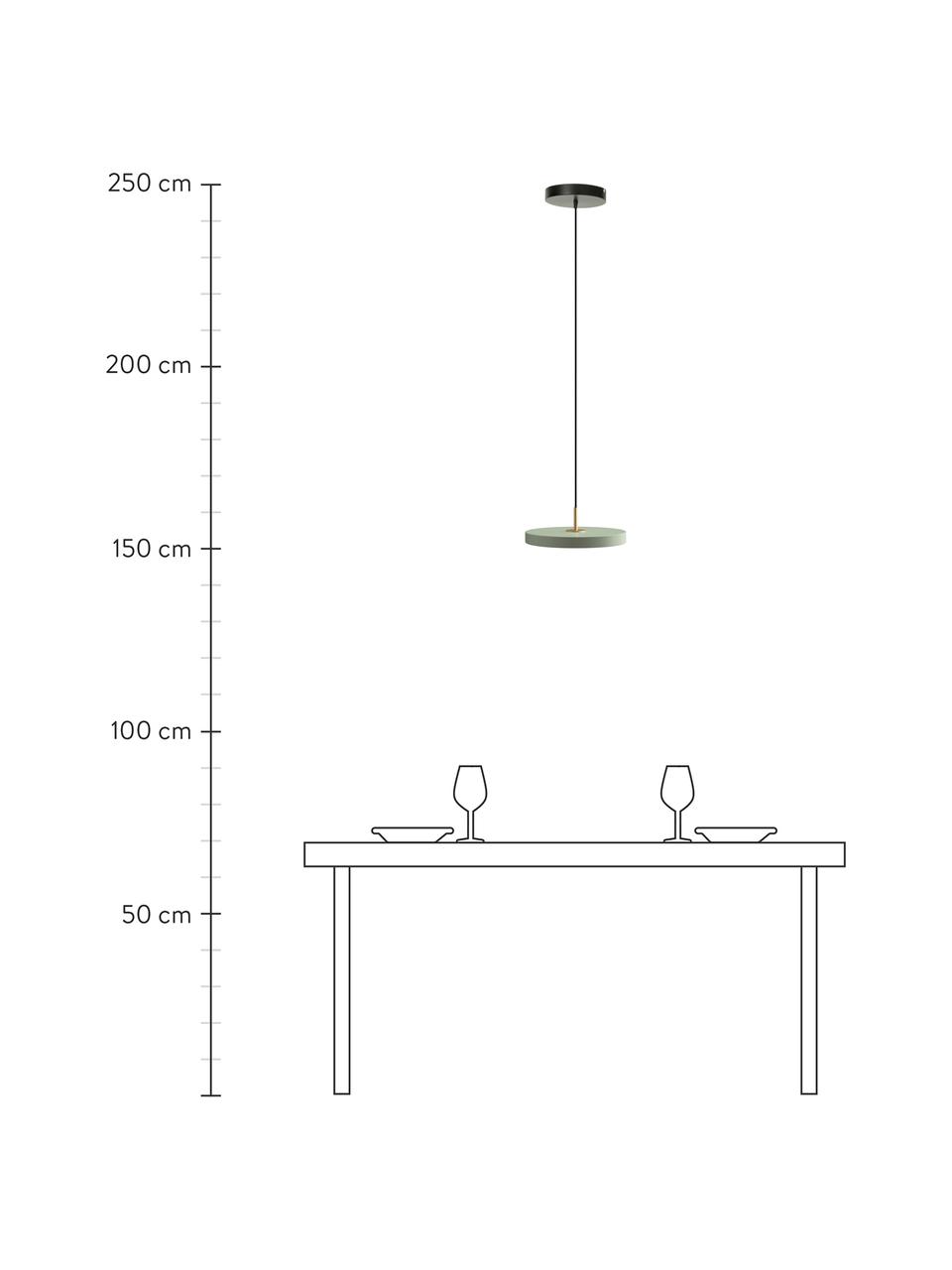 Design LED hanglamp Asteria, Lampenkap: gecoat aluminium, Decoratie: staal, Baldakijn: polypropyleen, Olijfgroen, Ø 31 x H 11 cm