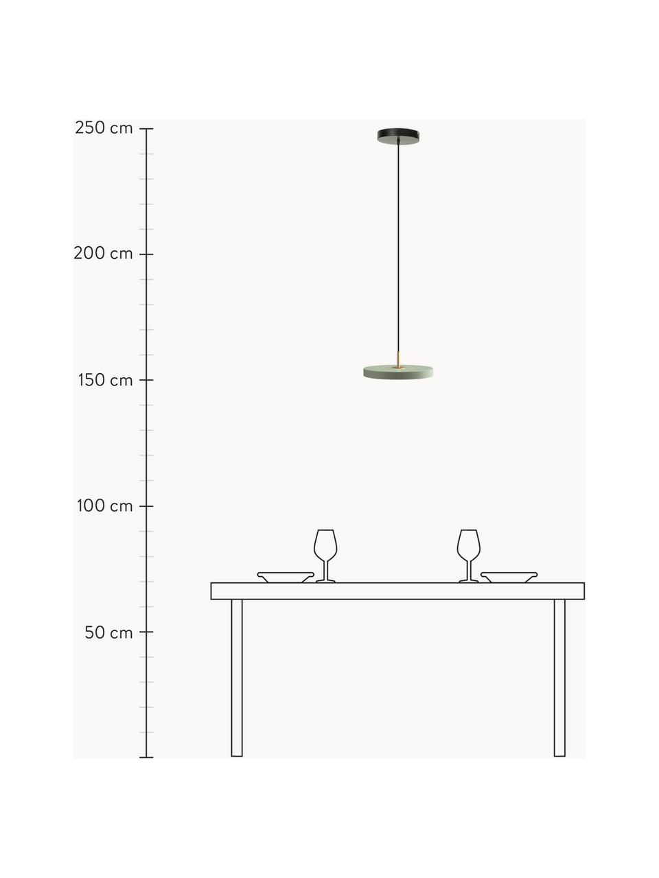 Design LED-Pendelleuchte Asteria, in verschiedenen Größen, Lampenschirm: Aluminium, lackiert, Dekor: Stahl, lackiert, Salbeigrün, Ø 31 x H 14 cm