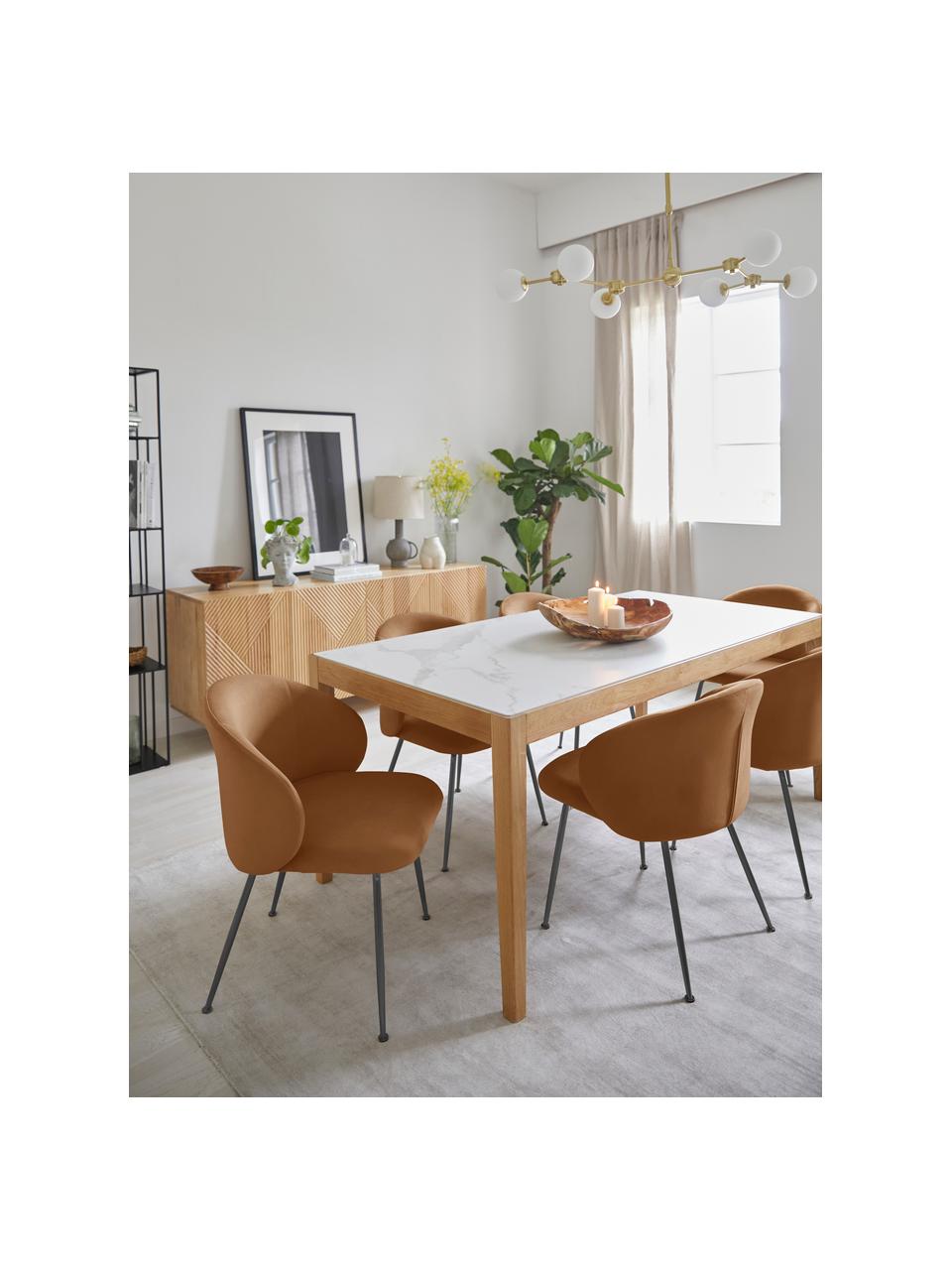 Samt-Polsterstühle Luisa, 2 Stück, Beine: Metall, pulverbeschichtet, Samt Braun, Schwarz, B 59 x T 59 cm
