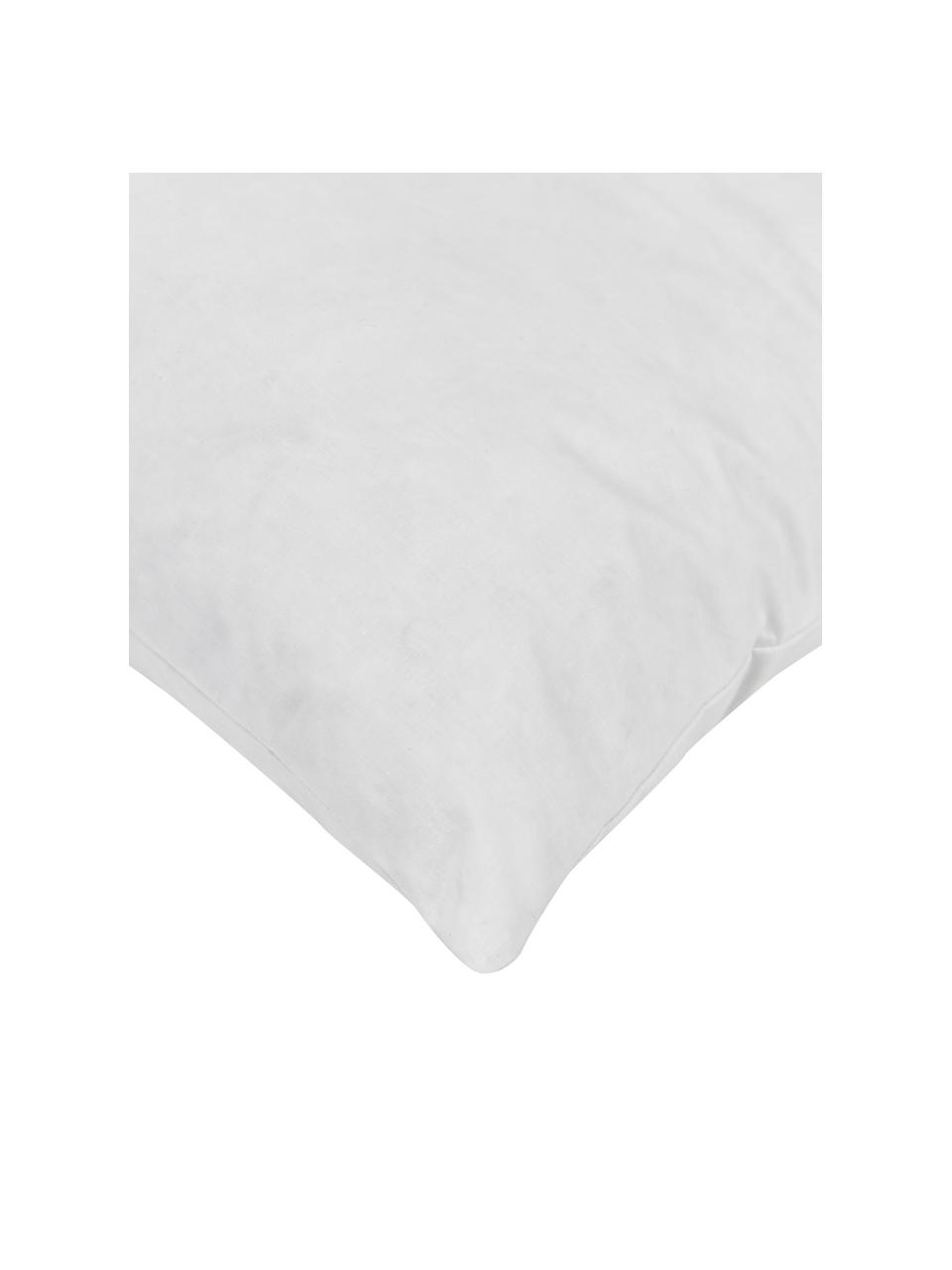 Relleno de cojín Premium, Funda: percal Mako, 100% algodón, Blanco, An 40 x L 40 cm