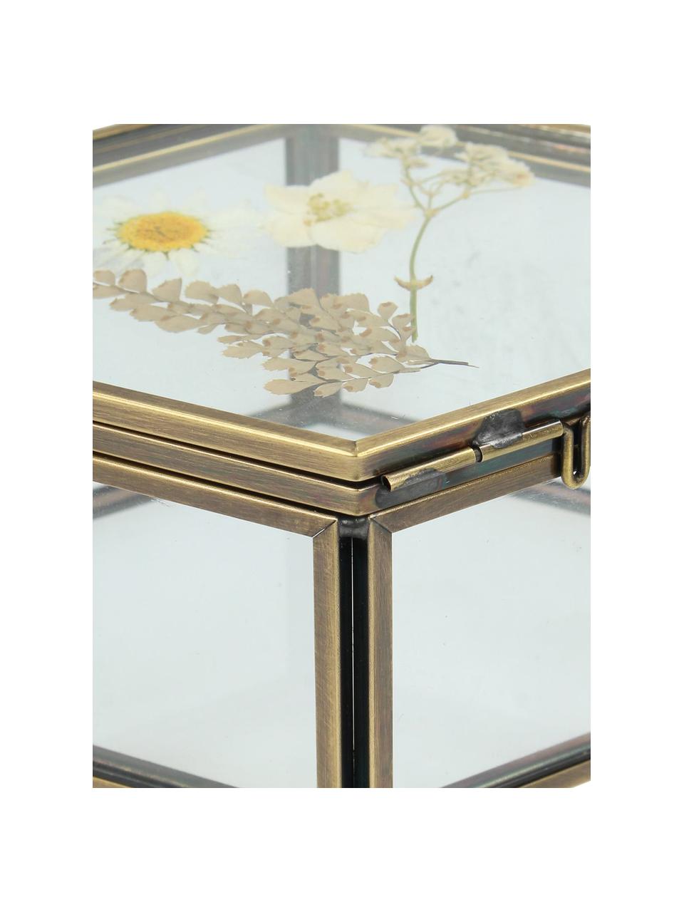 Aufbewahrungsbox Dried Flowers, Rahmen: Metall, beschichtet, Gold, Transparent, B 11 x H 5 cm