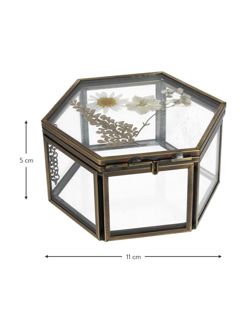 Aufbewahrungsbox Dried Flowers, Rahmen: Metall, beschichtet, Gold, Transparent, B 11 x H 5 cm