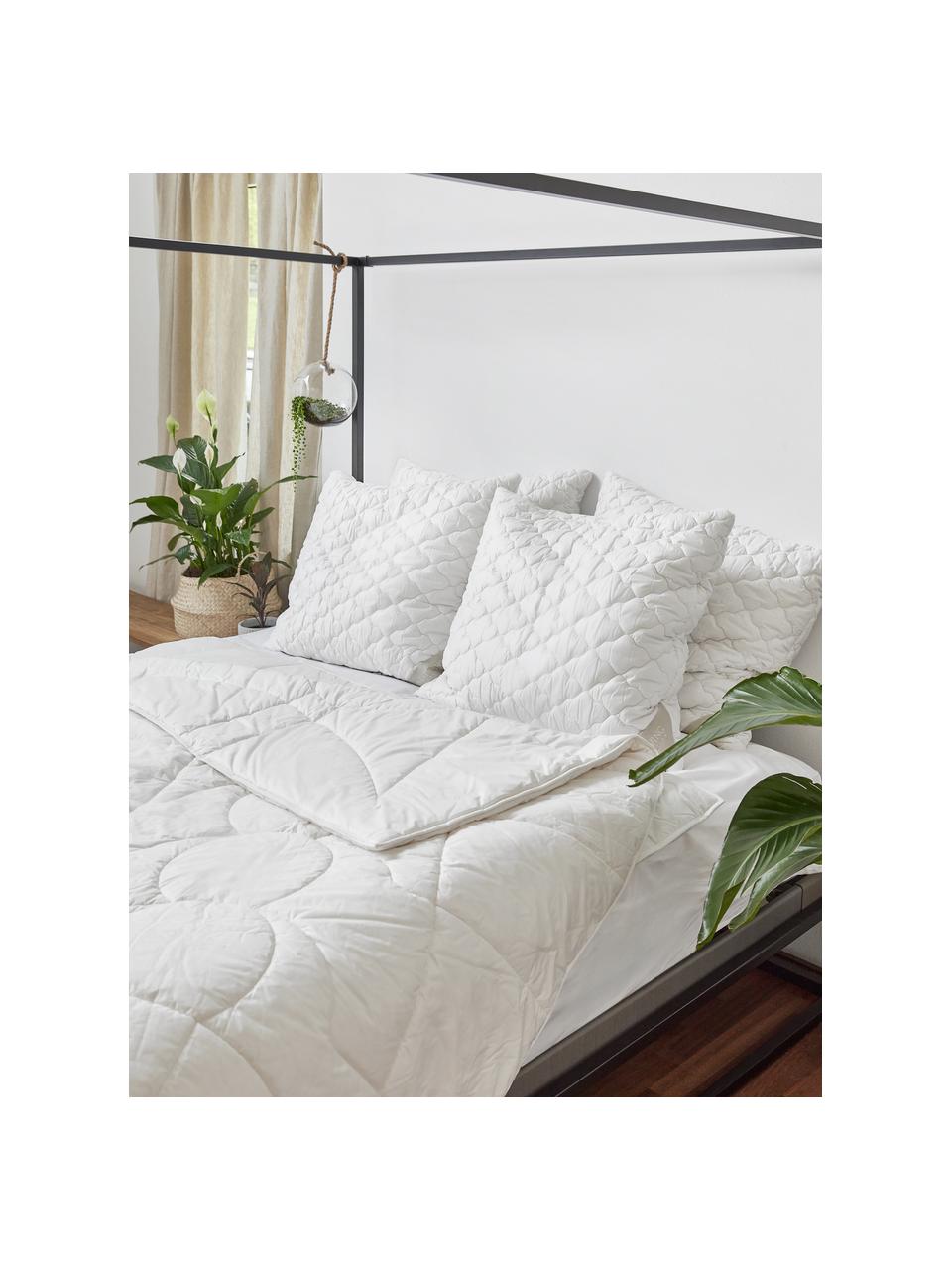 Vegane Bettdecke mit Kapokfaser und Baumwolle, leicht, Bezug: 100% Bio-Baumwolle, Leicht, B 200 x L 200 cm