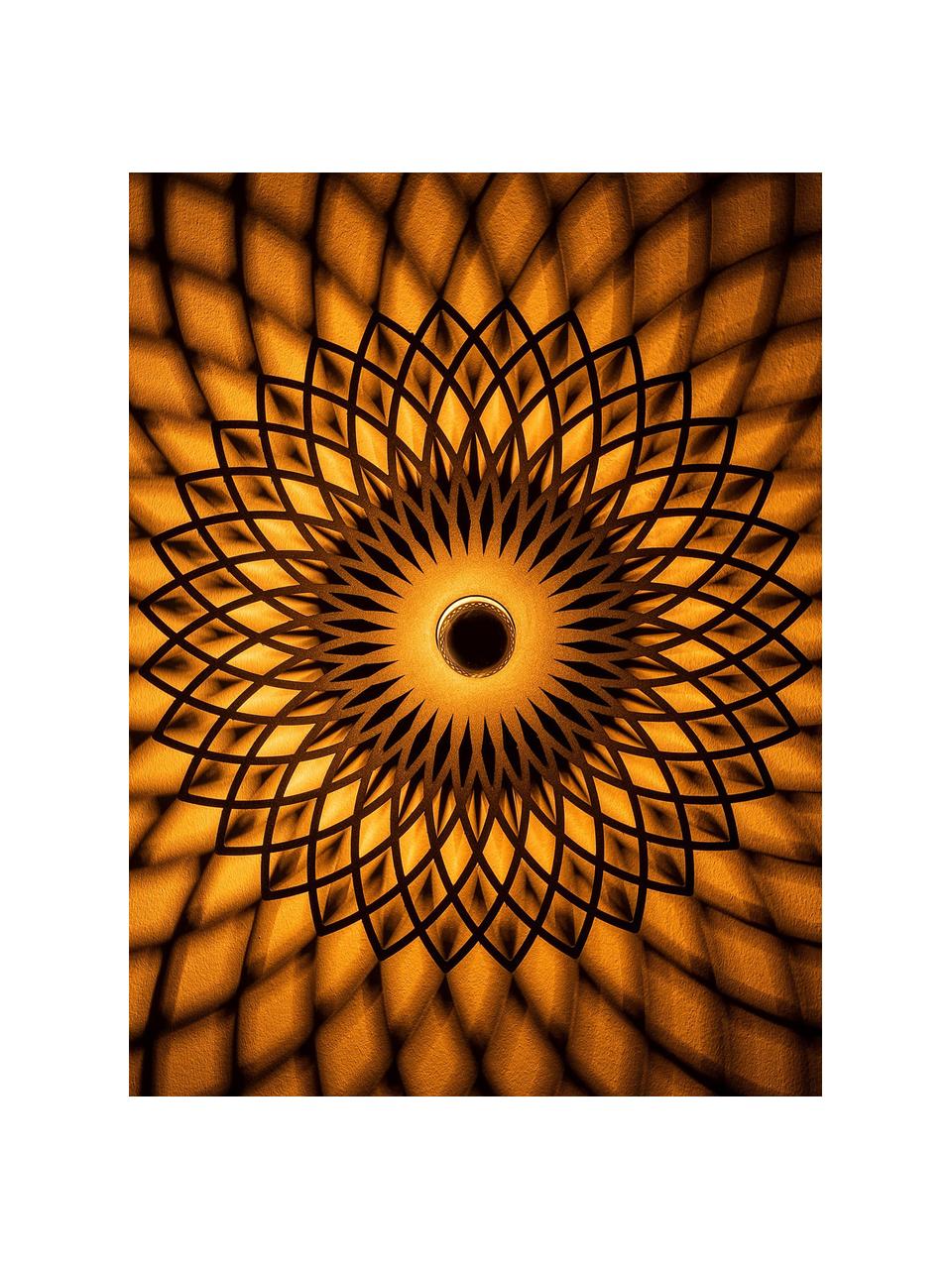 Aplique / Plafón grande de diseño Fellini, Pantalla: metal recubierto, Negro, Ø 50 x F 12 cm