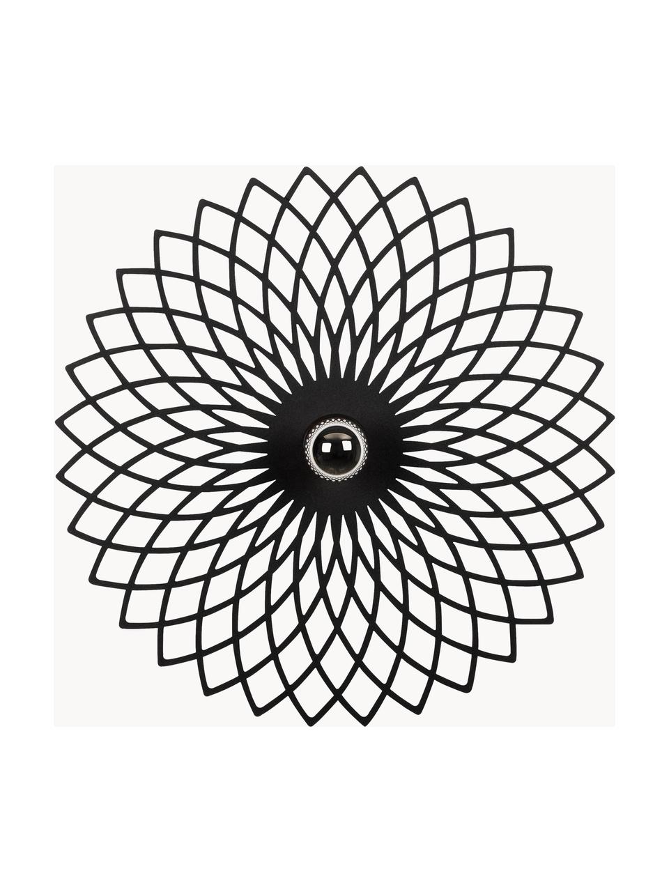 Veľké dizajnové nástenné/stropné svietidlo Fellini, Čierna, Ø 50 x H 12 cm