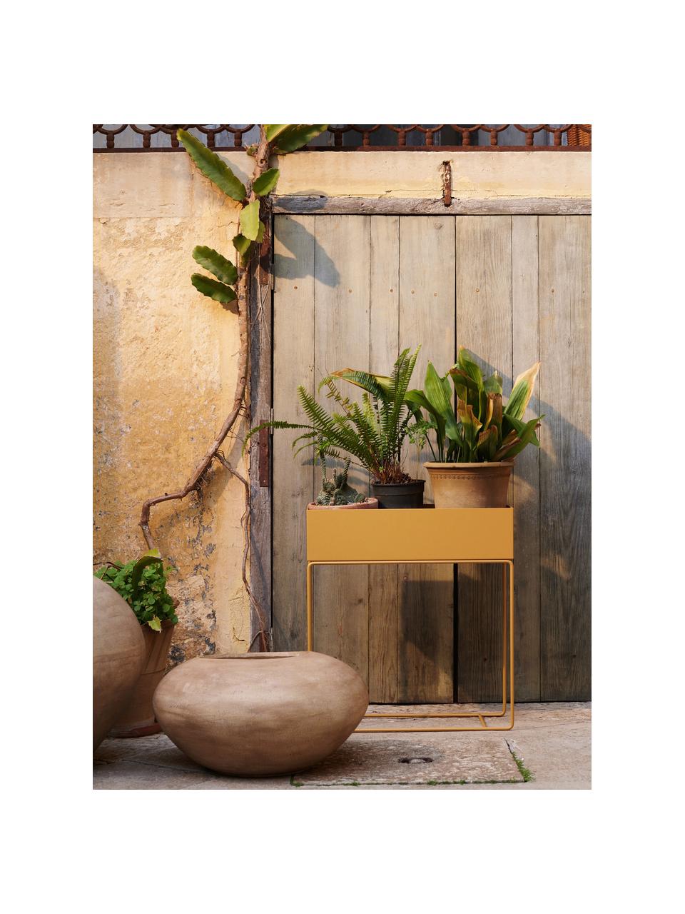 Cache-pot Plant Box, Acier, revêtement par poudre, Ocre, larg. 60 x haut. 65 cm