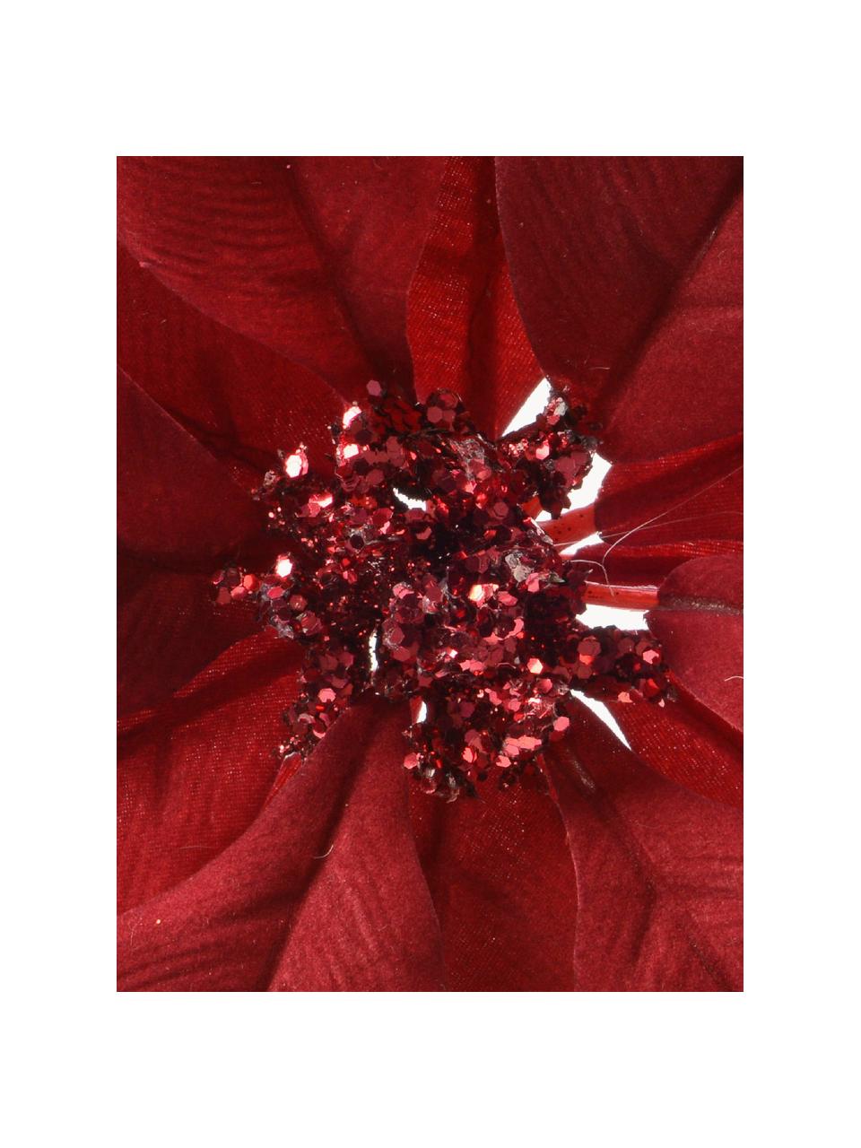 Adornos navideños Poinsettia, 2 uds., Poliéster, Rojo, Ø 24 x Al 7 cm