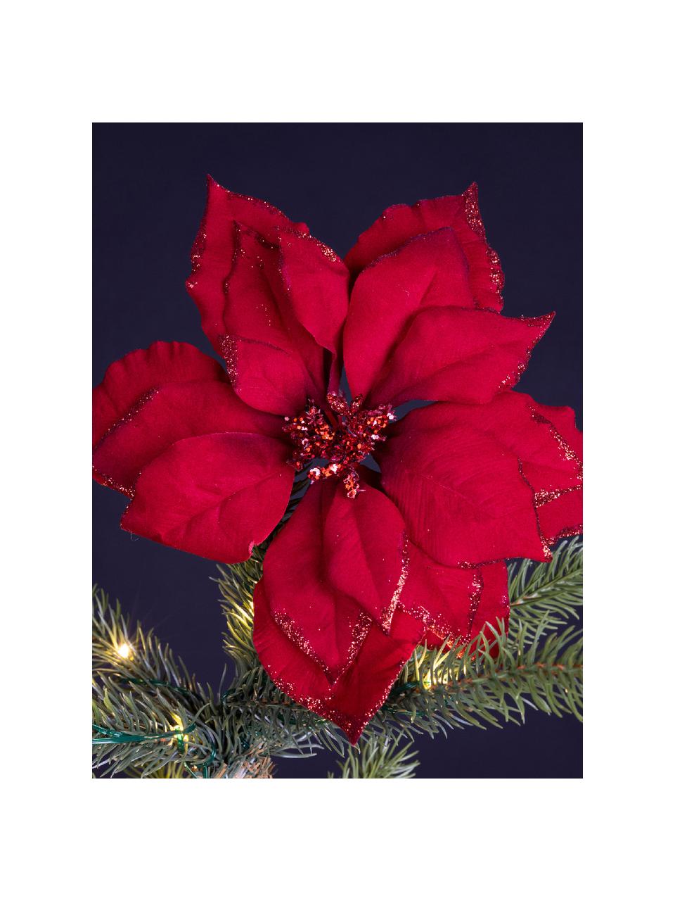 Adornos navideños Poinsettia, 2 uds., Poliéster, Rojo, Ø 24 x Al 7 cm