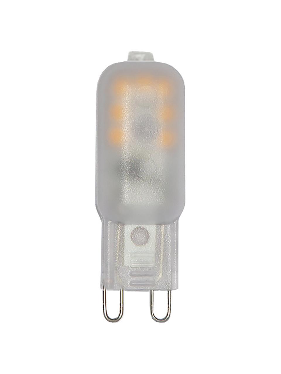 Ampoule G9, intensité variable, blanc chaud, 3 pièces, Blanc, translucide, larg. 2 x haut. 5 cm, 3 pièces