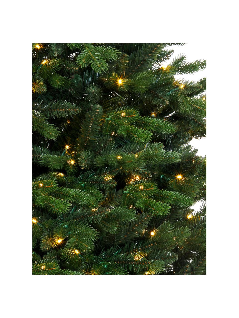 Albero di Natale artificiale a LED Allison, Verde, Ø 97 x Alt. 150 cm