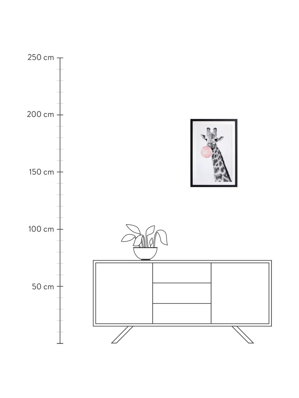 Impression numérique encadrée Giraffe, Noir, blanc, rose, larg. 45 x haut. 65 cm