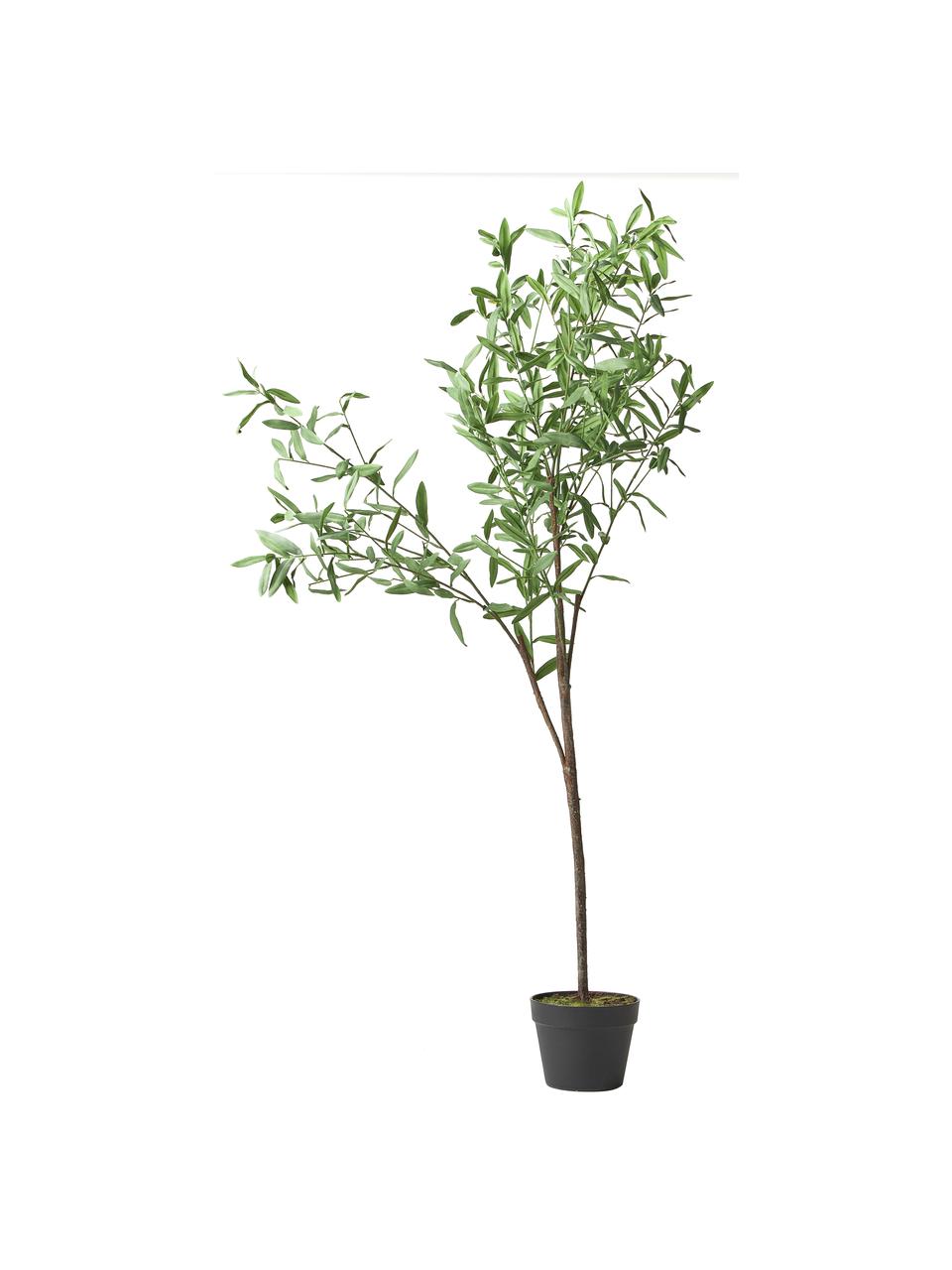 Kunstplant Olive in een plantenbak, Kunststof, Groen, H 154 cm