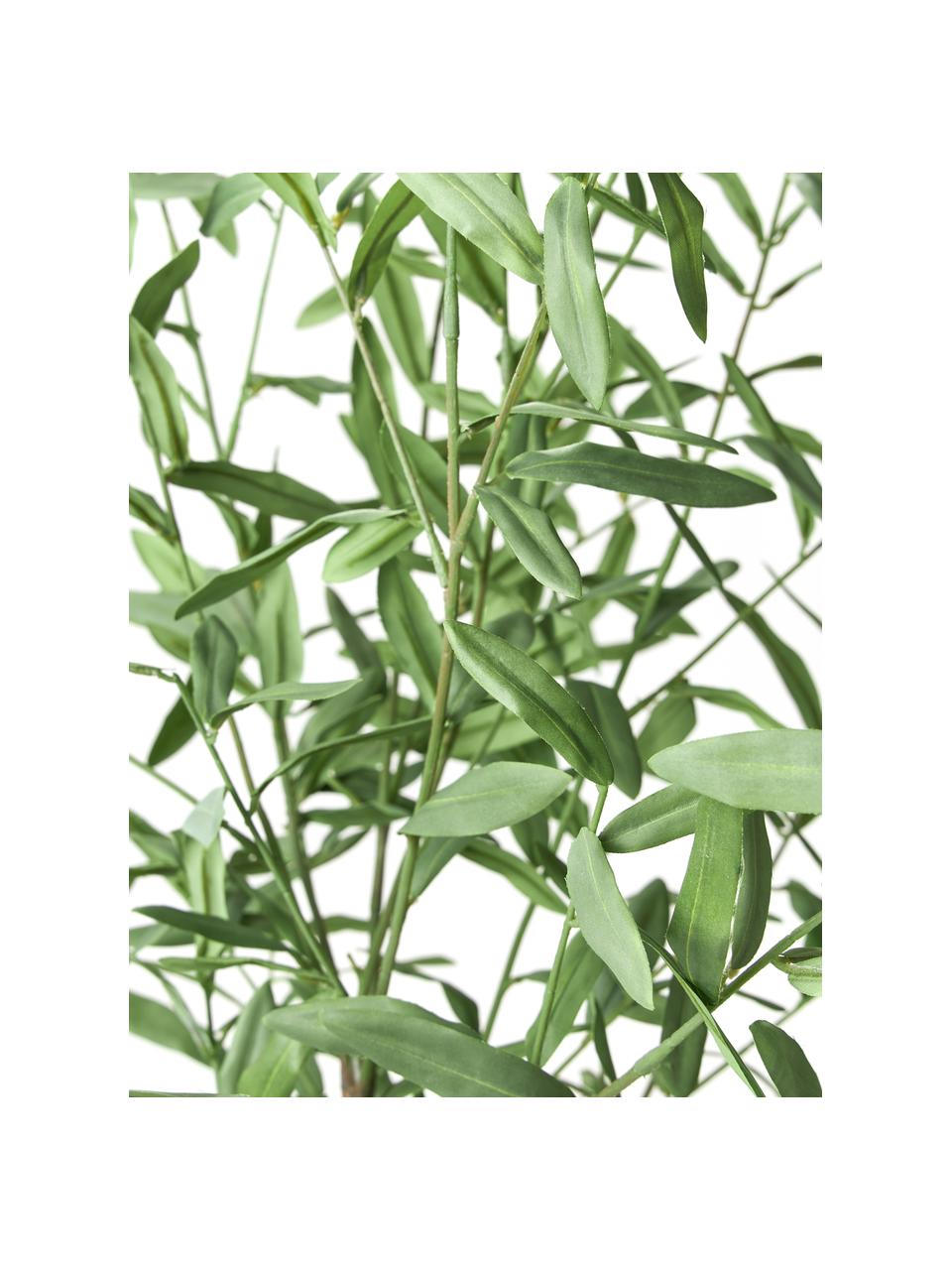 Kunstplant Olive in een plantenbak, Kunststof, Groen, H 154 cm