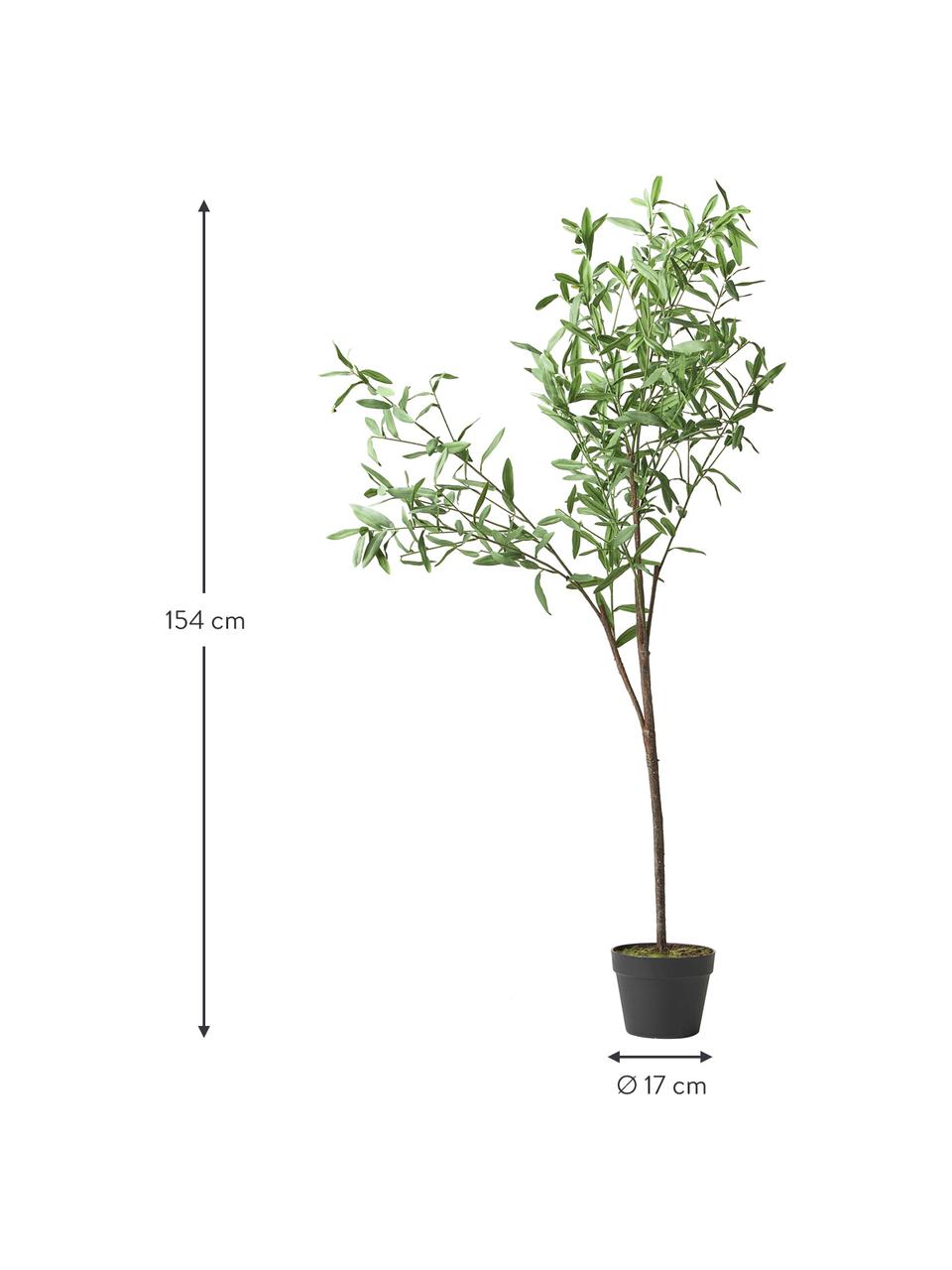 Umělá rostlina v květináči Olive, Umělá hmota, Zelená, V 154 cm