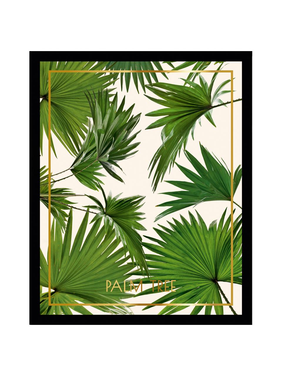 Stampa digitale incorniciata Palm Tree I, Immagine: stampa digitale, Cornice: telaio in materiale sinte, Multicolore, L 30 x A 40 cm