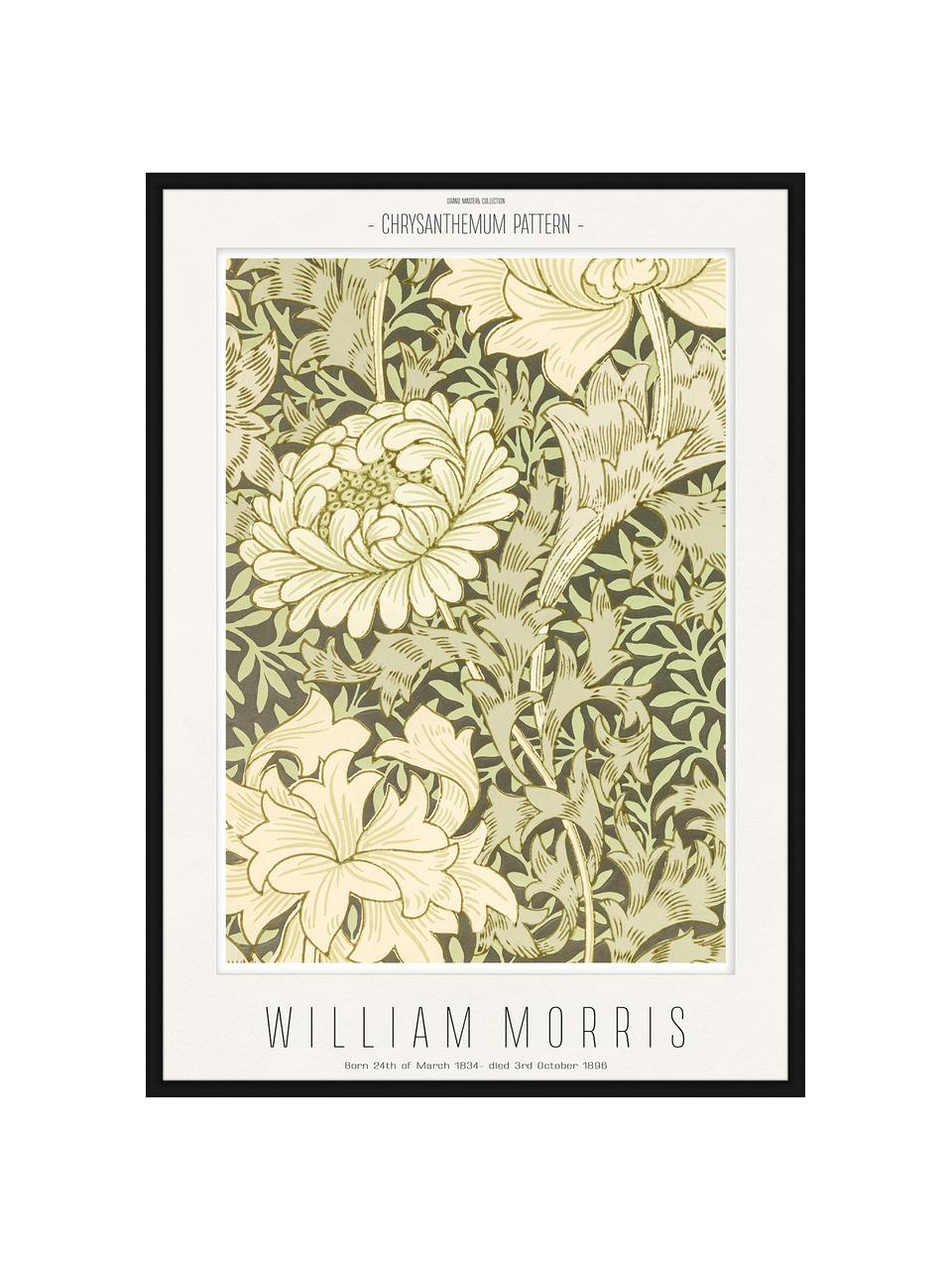 Stampa digitale incorniciata Chrysantemum - William Morris, Immagine: stampa digitale su carta, Struttura: legno, pannello di fibra , Beige, verde, Larg. 32 x Alt. 42 cm