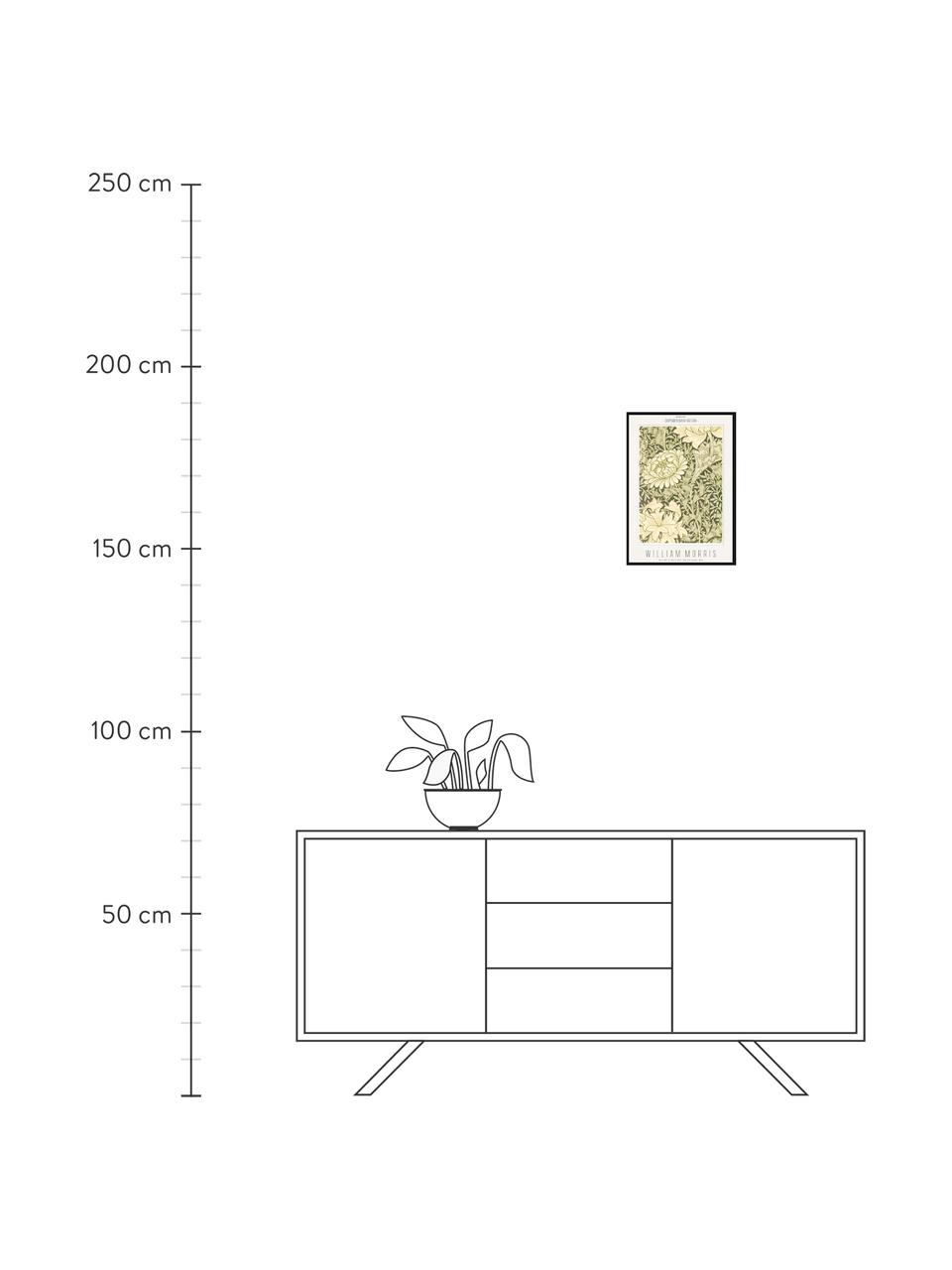 Oprawiony druk cyfrowy Chrysantemum, William Morris, Beżowy, zielony, S 32 x W 42 cm