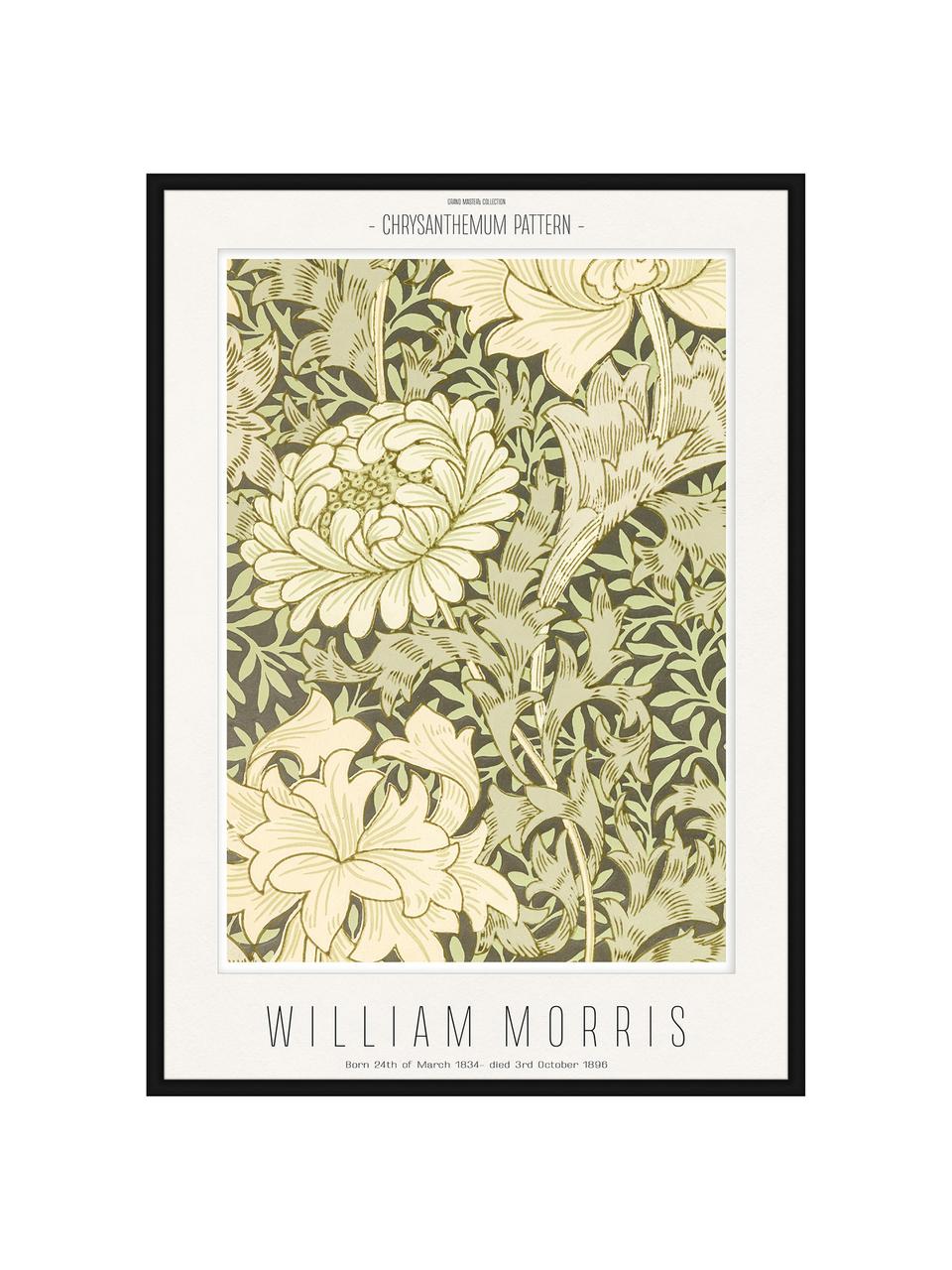 Oprawiony druk cyfrowy Chrysantemum, William Morris, Beżowy, zielony, S 32 x W 42 cm