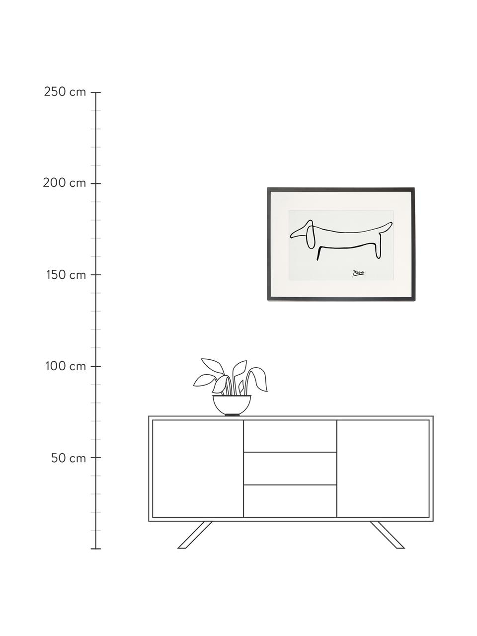 Ingelijste digitale print Picasso's Tekkel, Afbeelding: digitale print op papier,, Lijst: gelakt hout, Wit, zwart, B 83 x H 63 cm