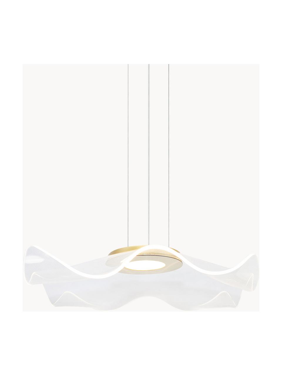 Lámpara de techo LED Velo, Pantalla: vidrio acrílico, Estructura: metal anodizado, Cable: plástico, Transparente, dorado, Ø 50 x Al 50 cm
