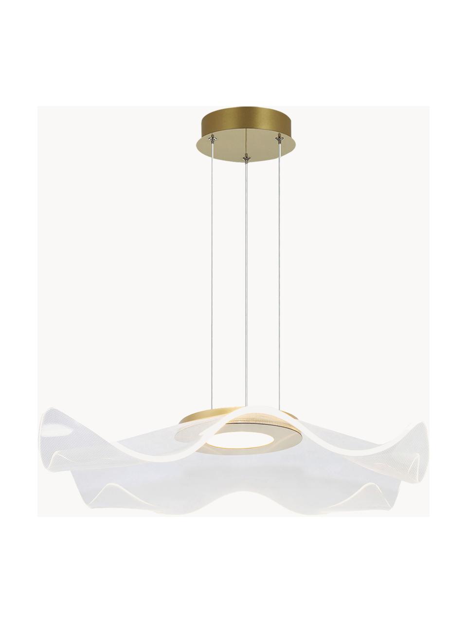 Lampa wisząca LED Velo, Transparentny, odcienie złotego, Ø 50 x W 50 cm