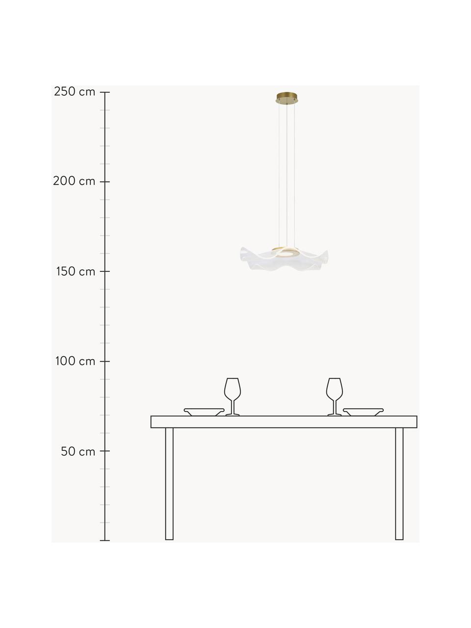 LED-Pendelleuchte Velo, Lampenschirm: Acrylglas, Baldachin: Metall, eloxiert, Transparent, Goldfarben, Ø 50 x H 50 cm